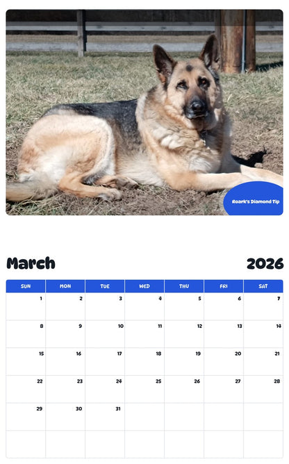 November 2025 - October 2026 Roark's Diamond Tip - Pawidols Pet Calendar