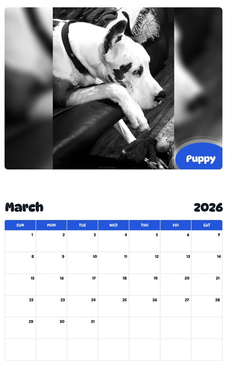 November 2025 - October 2026 Puppy - Pawidols Pet Calendar