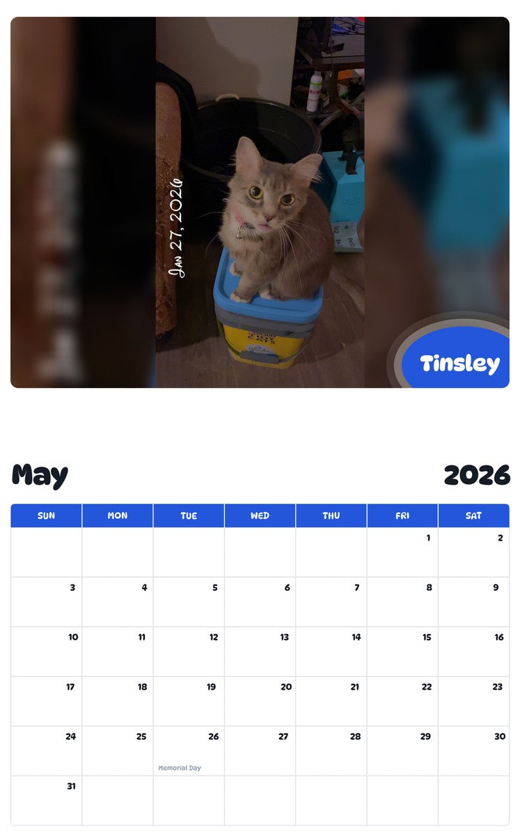 2026 - 2027 Tinsley - Pawidols Pet Calendar