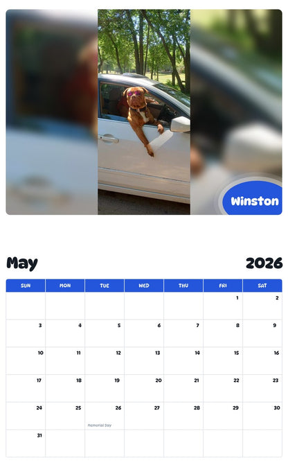 2026 - 2027 Winston - Pawidols Pet Calendar