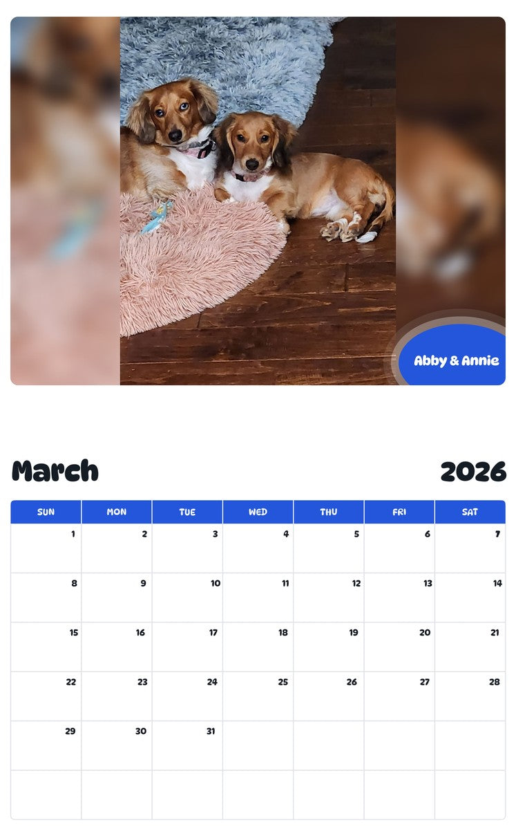 November 2025 - October 2026 Abby & Annie - Pawidols Pet Calendar