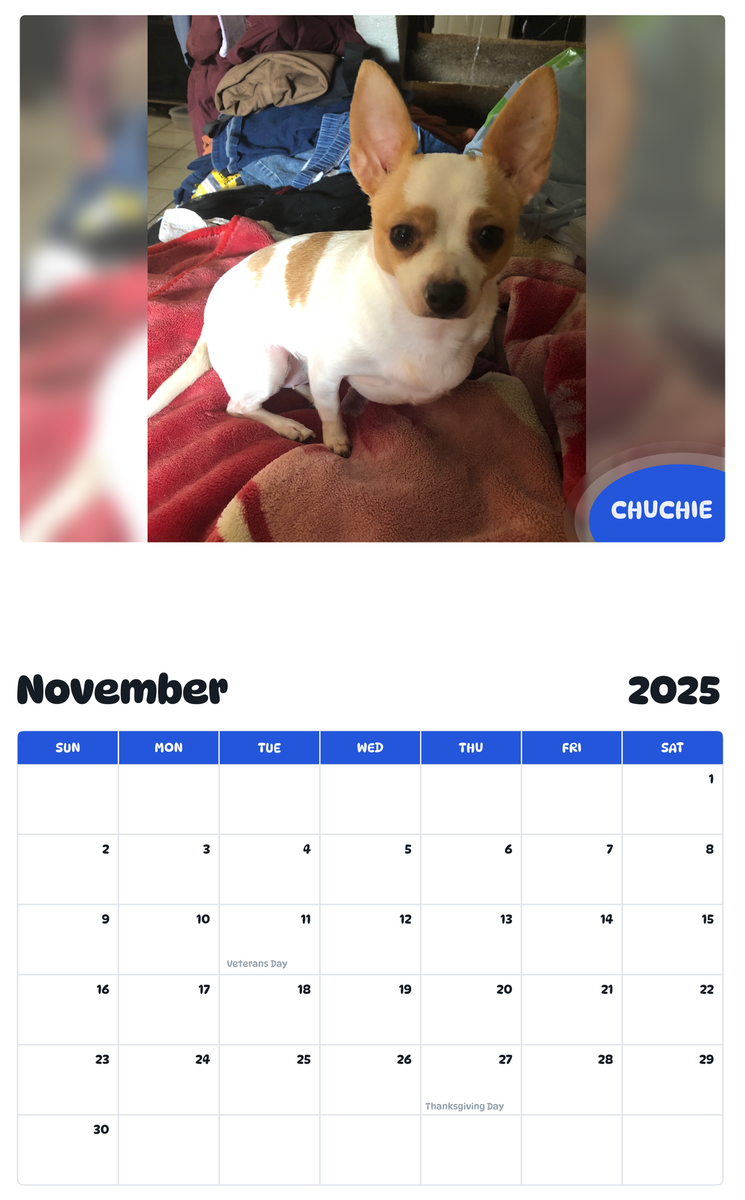 July 2025 - June 2026 Chuchie - Pawidols Pet Calendar