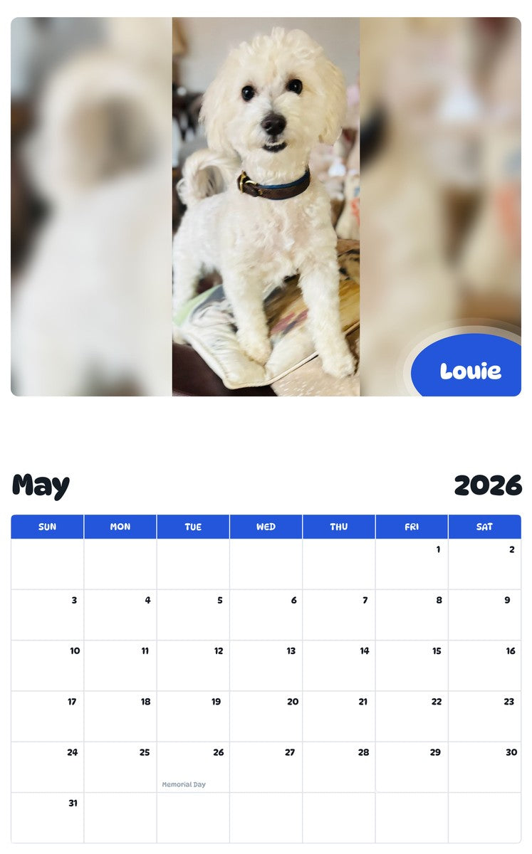 2026 - 2027 Louie - Pawidols Pet Calendar