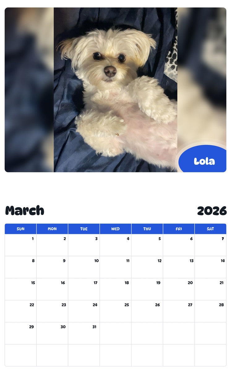 November 2025 - October 2026 Lola - Pawidols Pet Calendar
