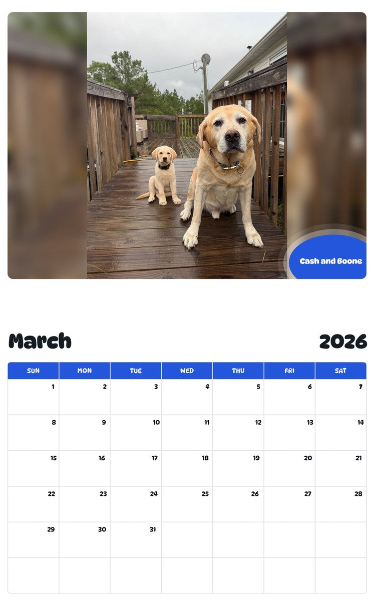 November 2025 - October 2026 Cash and Boone - Pawidols Pet Calendar