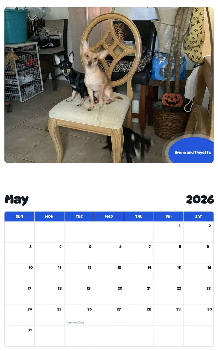 2026 - 2027 Bruno and Tinyette - Pawidols Pet Calendar