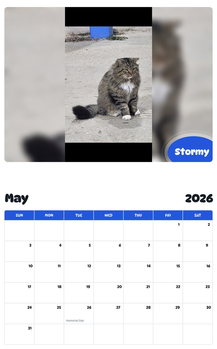 2026 - 2027 Stormy - Pawidols Pet Calendar