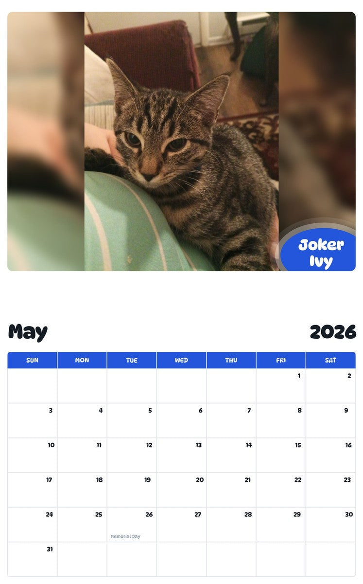 2026 - 2027 Joker Ivy - Pawidols Pet Calendar