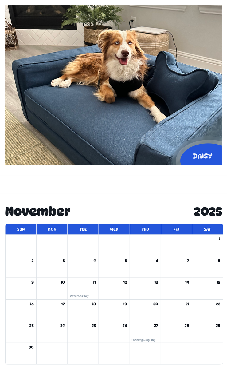 July 2025 - June 2026 Daisy - Pawidols Pet Calendar