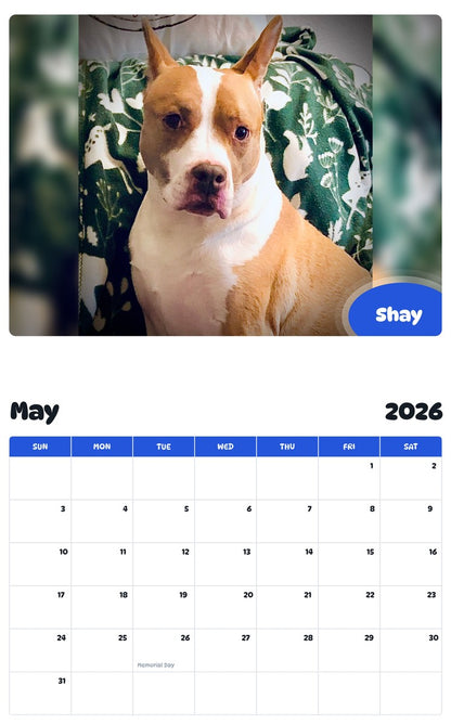 2026 - 2027 Shay - Pawidols Pet Calendar