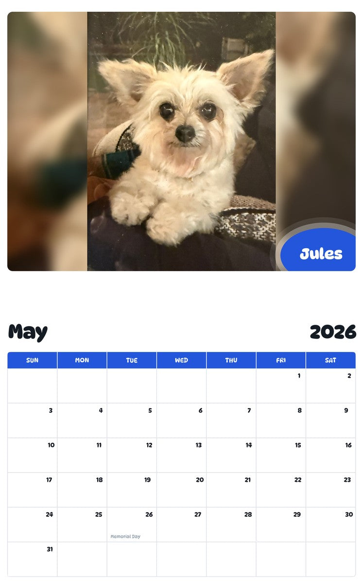 2026 - 2027 Jules - Pawidols Pet Calendar