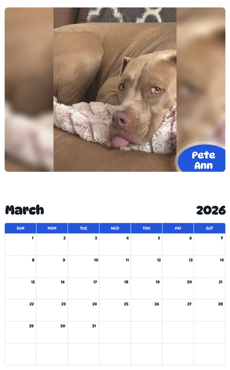 November 2025 - October 2026 Pete Ann - Pawidols Pet Calendar