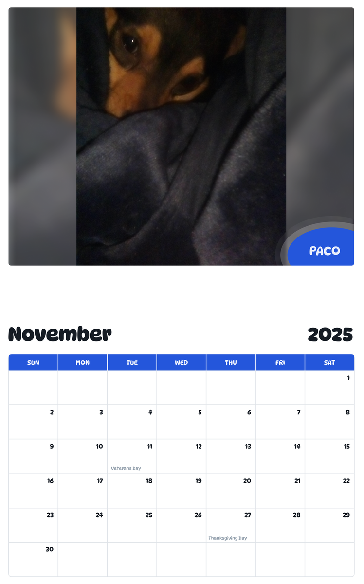 July 2025 - June 2026 Paco - Pawidols Pet Calendar