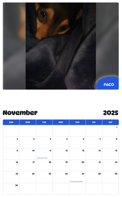July 2025 - June 2026 Paco - Pawidols Pet Calendar