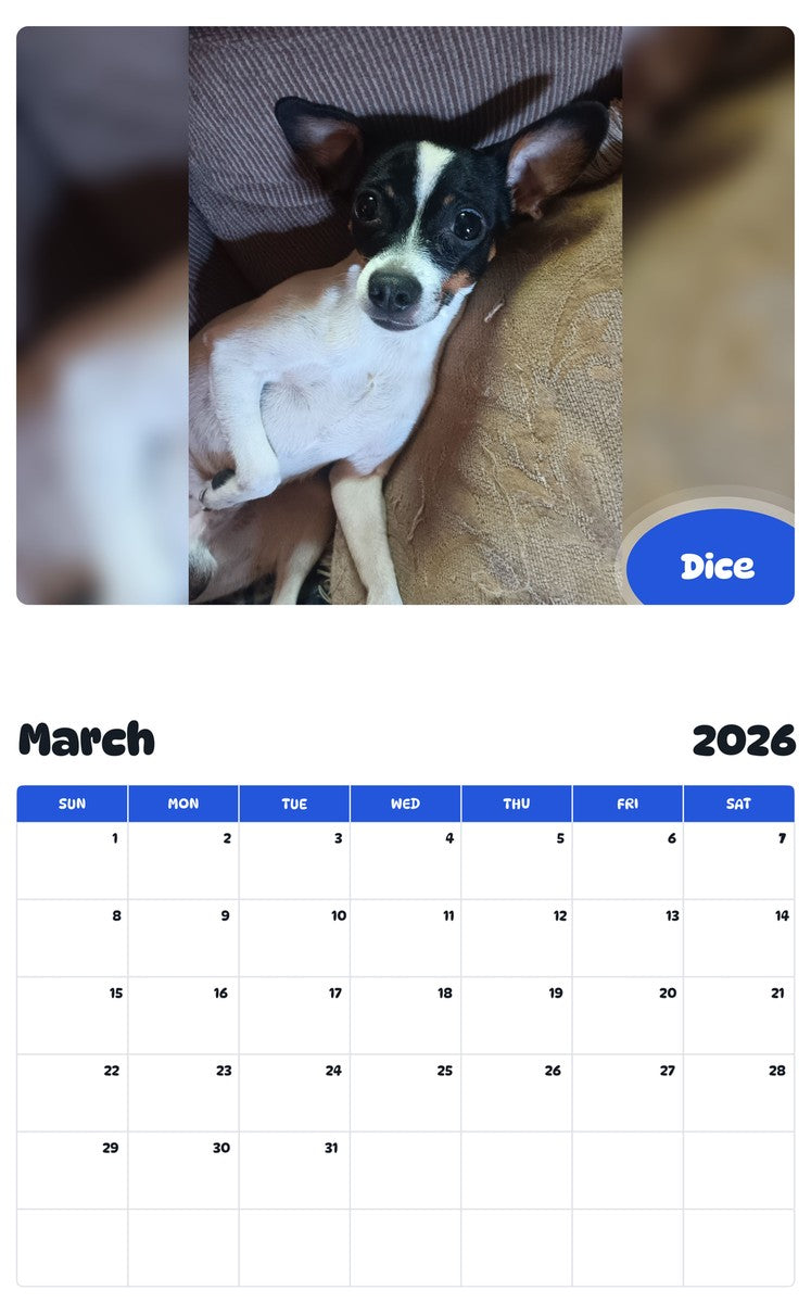 November 2025 - October 2026 Dice - Pawidols Pet Calendar