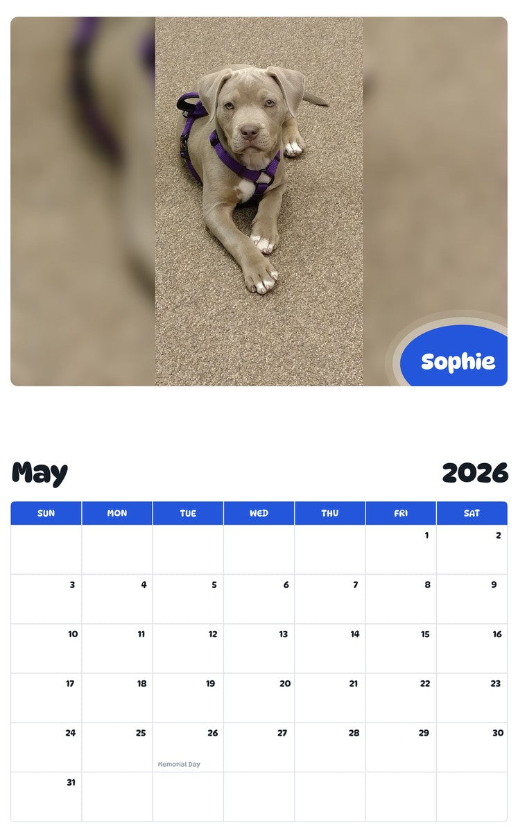 2026 - 2027 Sophie - Pawidols Pet Calendar