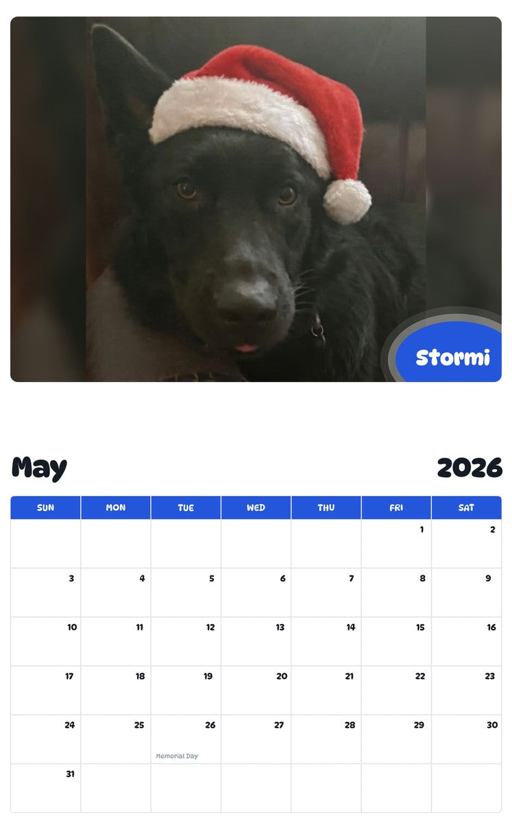 2026 - 2027 Stormi - Pawidols Pet Calendar