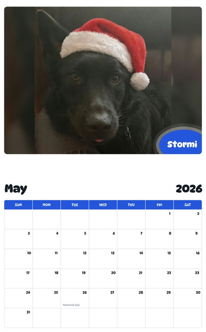 2026 - 2027 Stormi - Pawidols Pet Calendar