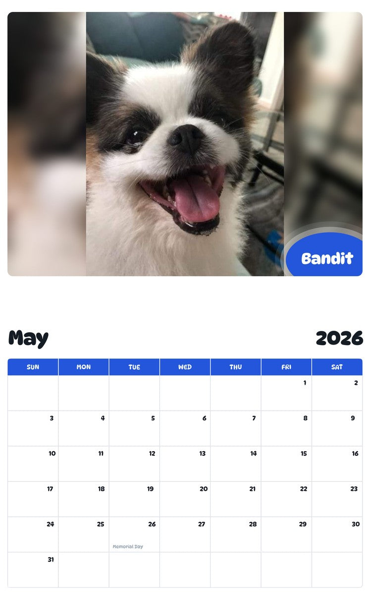 2026 - 2027 Bandit - Pawidols Pet Calendar