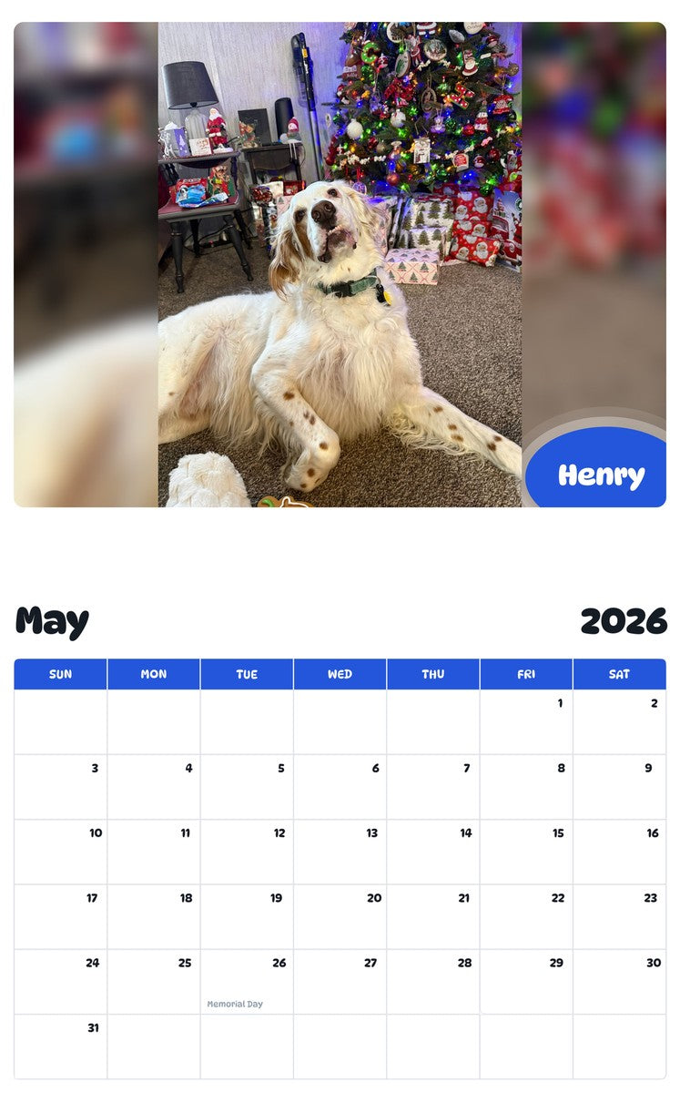 2026 - 2027 Henry - Pawidols Pet Calendar