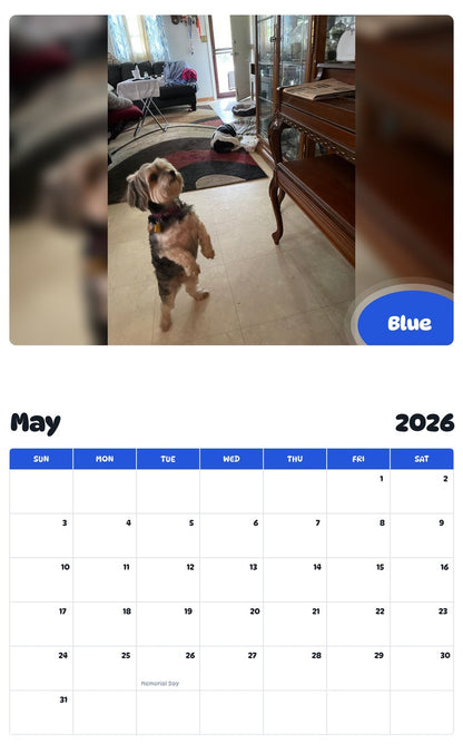 2026 - 2027 Blue - Pawidols Pet Calendar