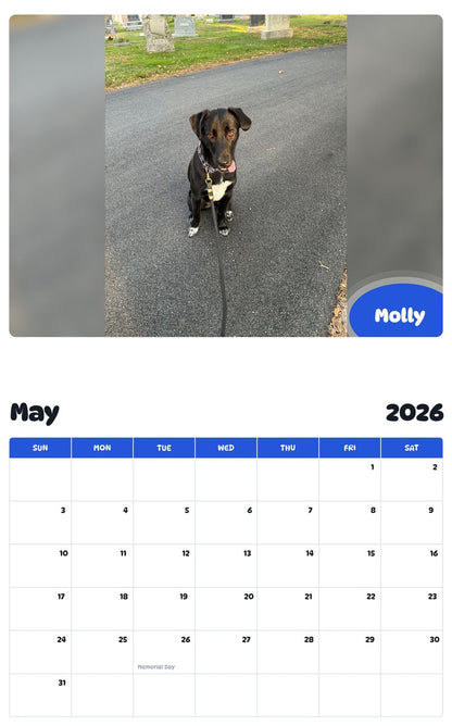 2026 - 2027 Molly - Pawidols Pet Calendar