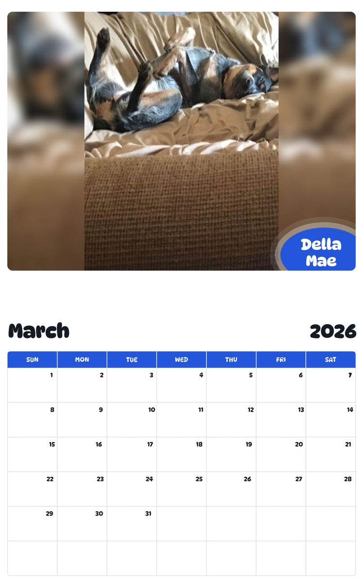 November 2025 - October 2026 Della Mae - Pawidols Pet Calendar