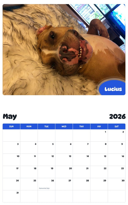 2026 - 2027 Lucius - Pawidols Pet Calendar
