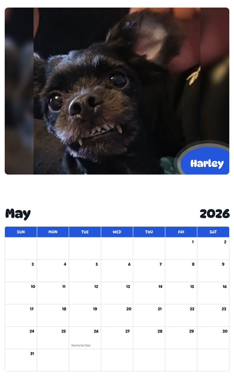 2026 - 2027 Harley - Pawidols Pet Calendar