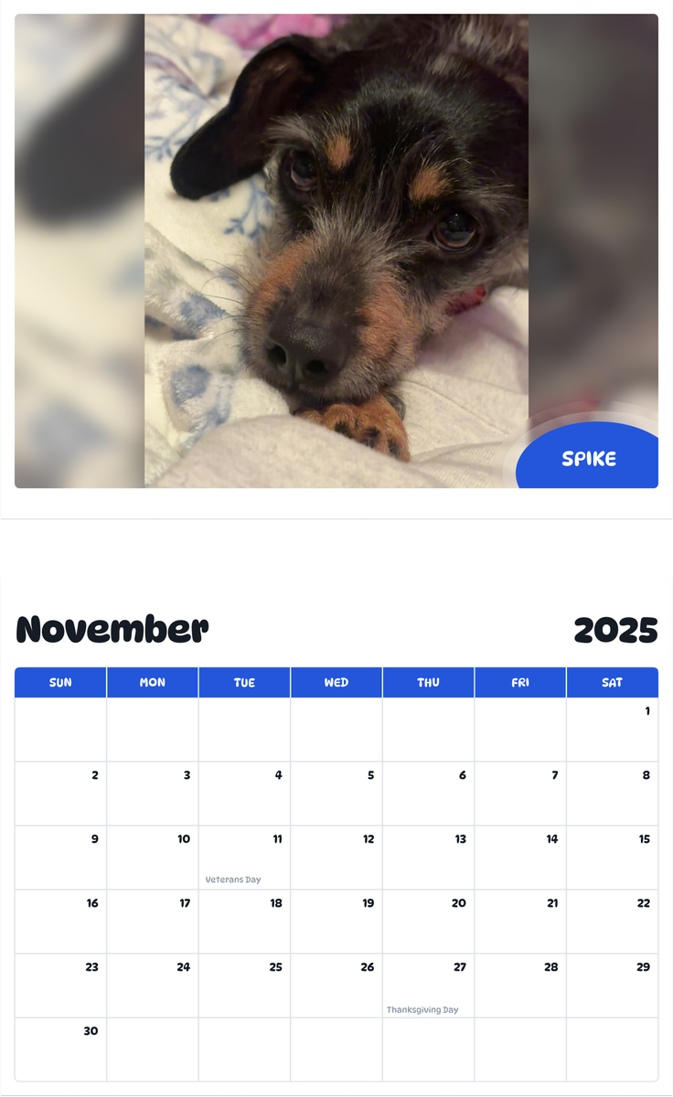 July 2025 - June 2026 Spike - Pawidols Pet Calendar
