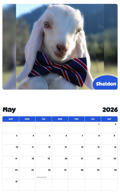 2026 - 2027 Sheldon - Pawidols Pet Calendar