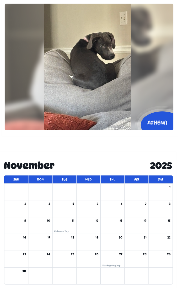 July 2025 - June 2026 Athena - Pawidols Pet Calendar
