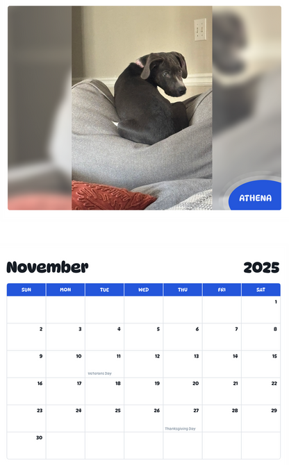 July 2025 - June 2026 Athena - Pawidols Pet Calendar