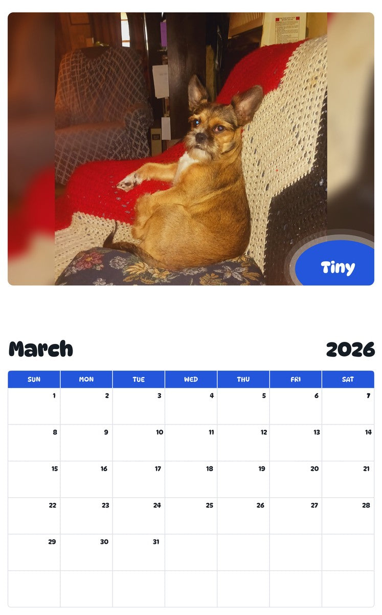 November 2025 - October 2026 Tiny - Pawidols Pet Calendar