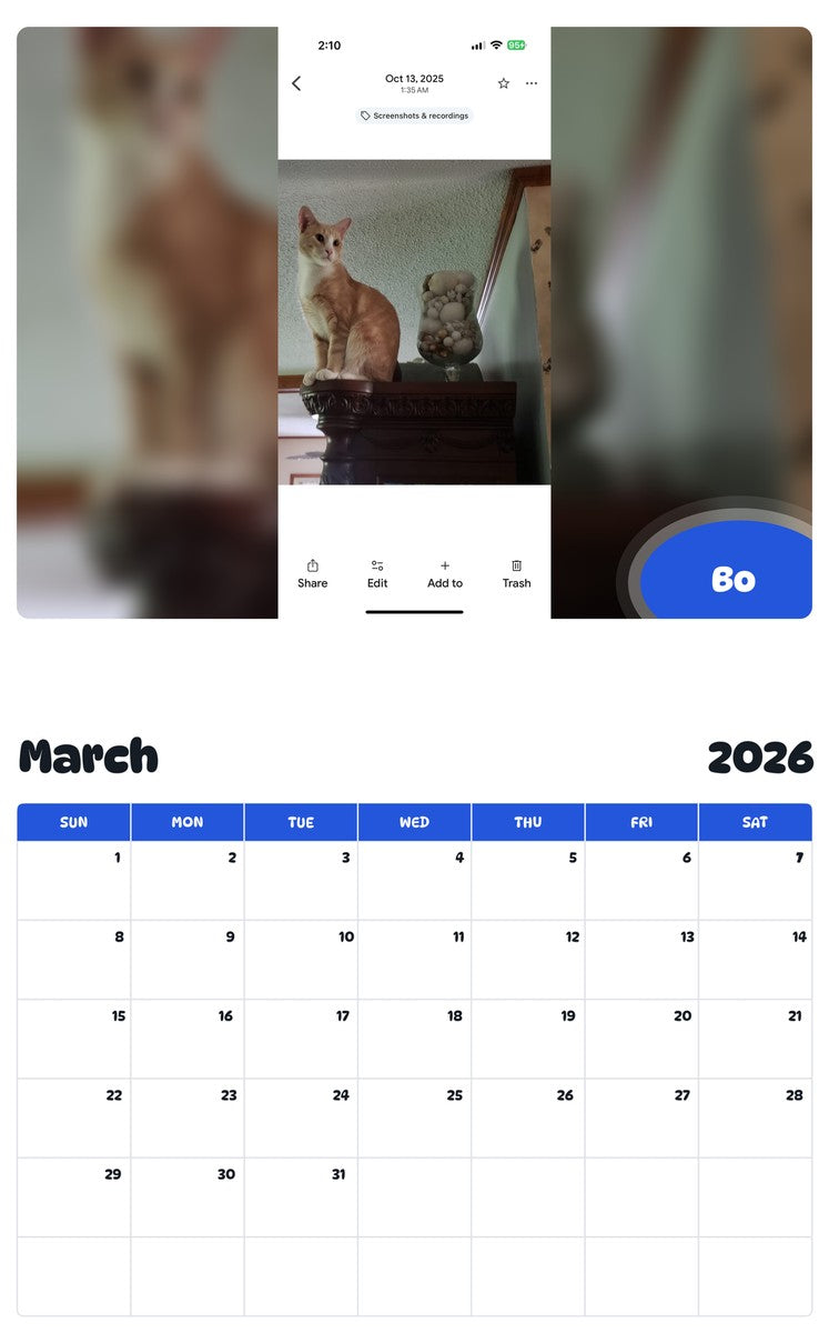 November 2025 - October 2026 Bo - Pawidols Pet Calendar