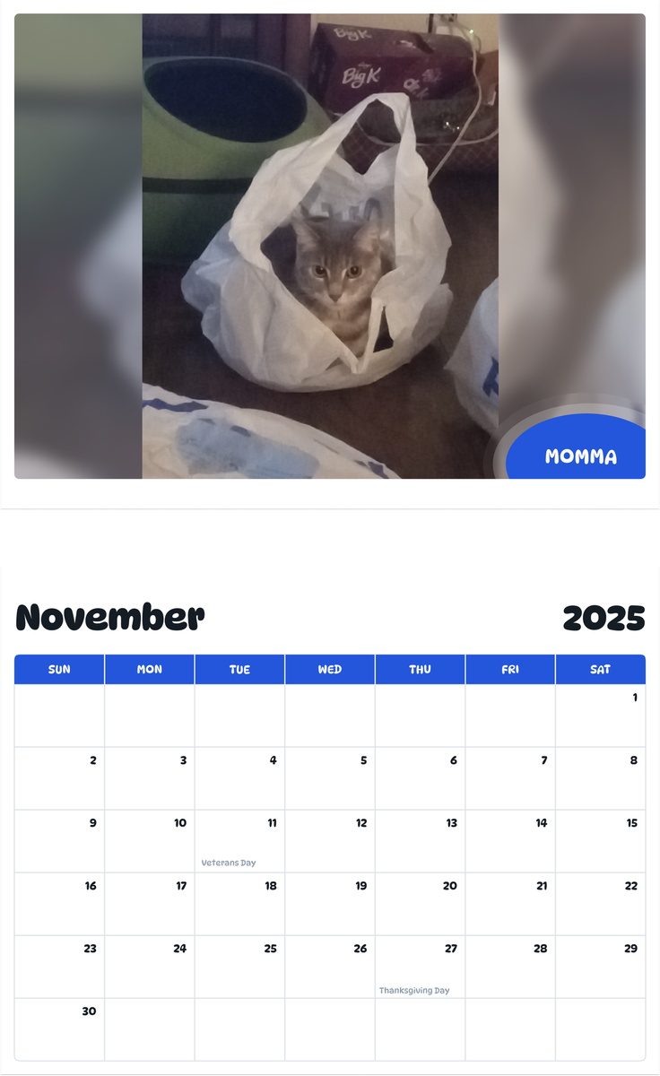 July 2025 - June 2026 Momma - Pawidols Pet Calendar