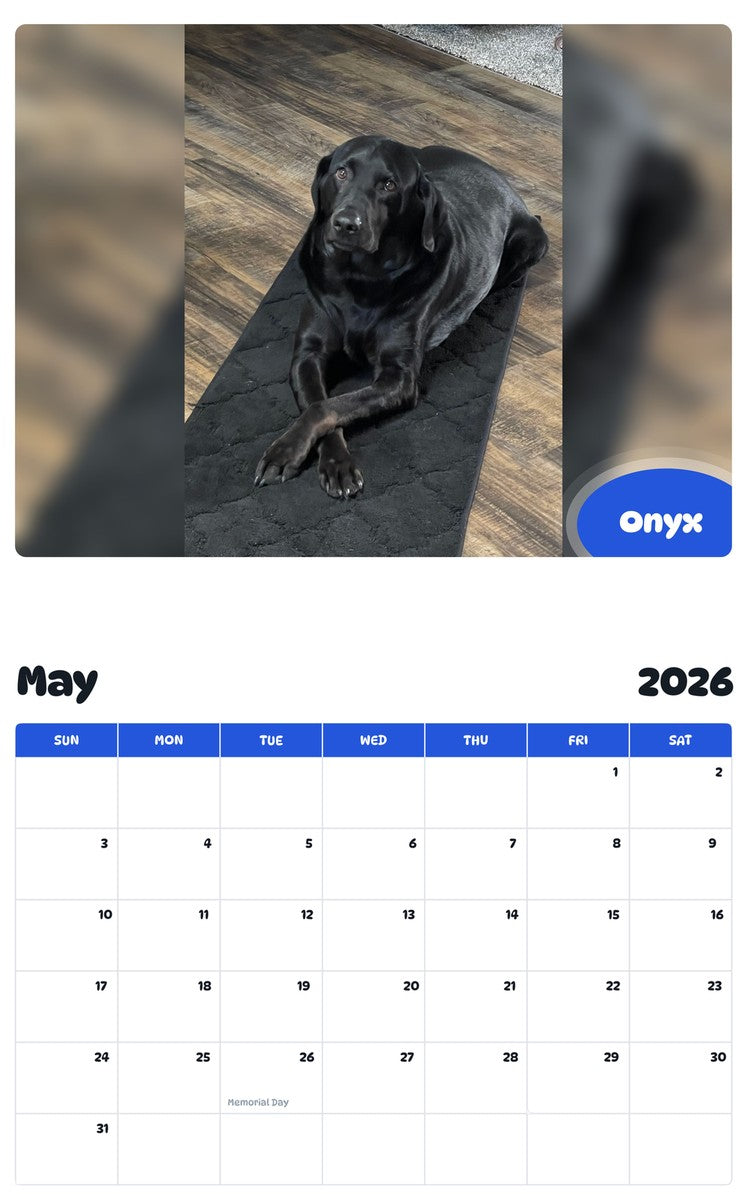2026 - 2027 Onyx - Pawidols Pet Calendar