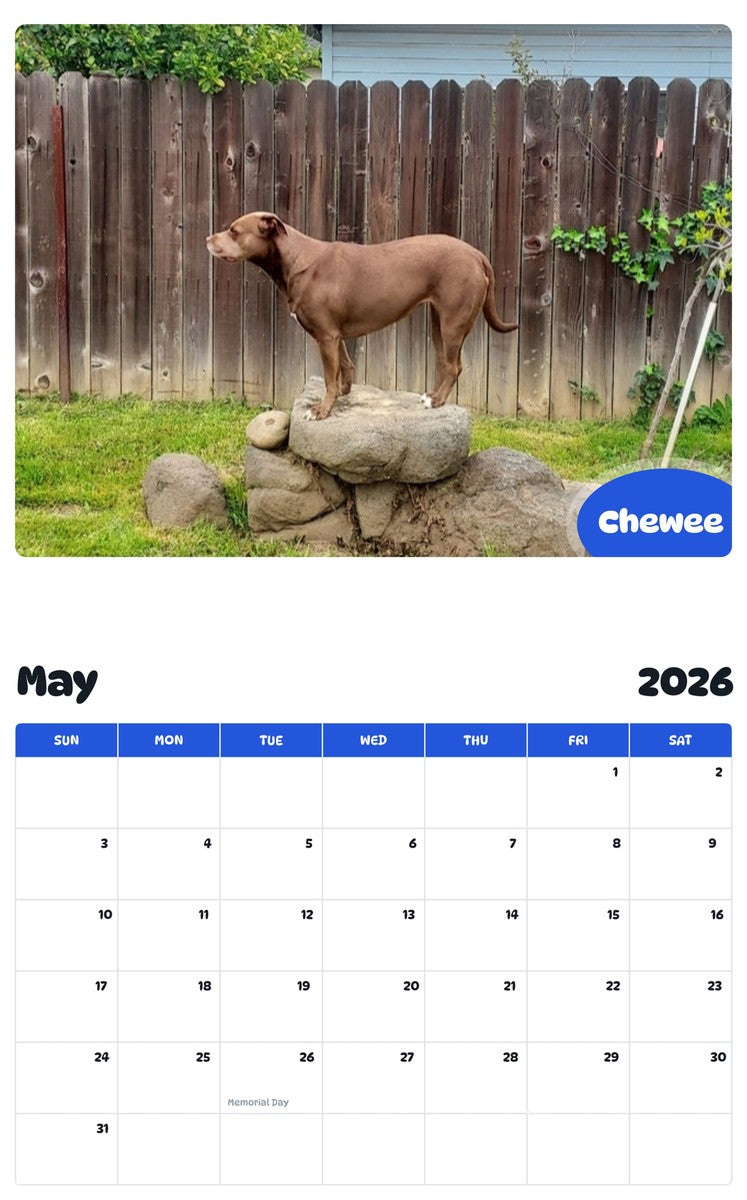 2026 - 2027 Chewee - Pawidols Pet Calendar