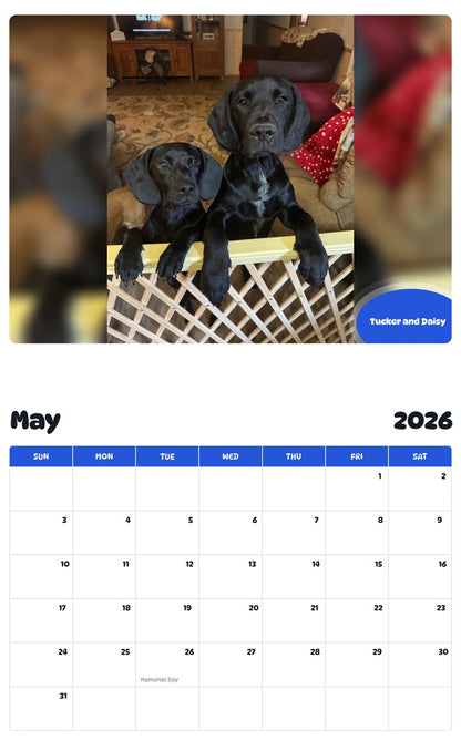 2026 - 2027 Tucker and Daisy - Pawidols Pet Calendar