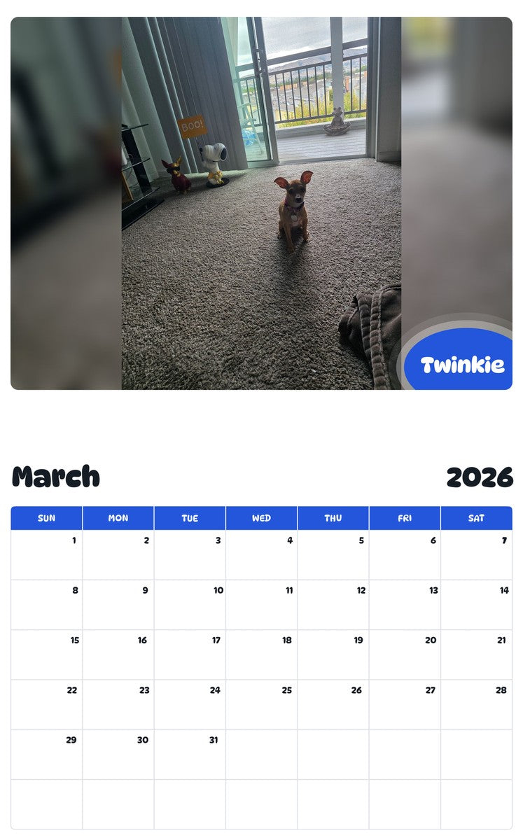 November 2025 - October 2026 Twinkie - Pawidols Pet Calendar