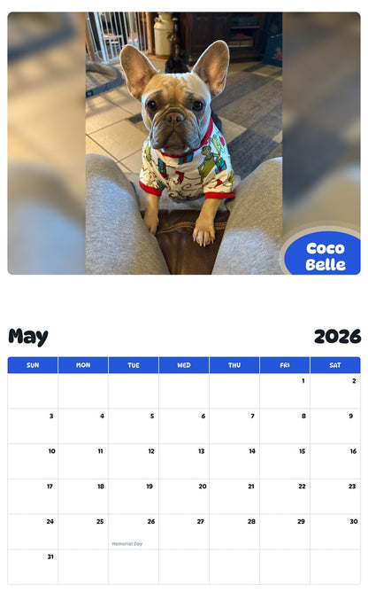 2026 - 2027 Coco Belle - Pawidols Pet Calendar