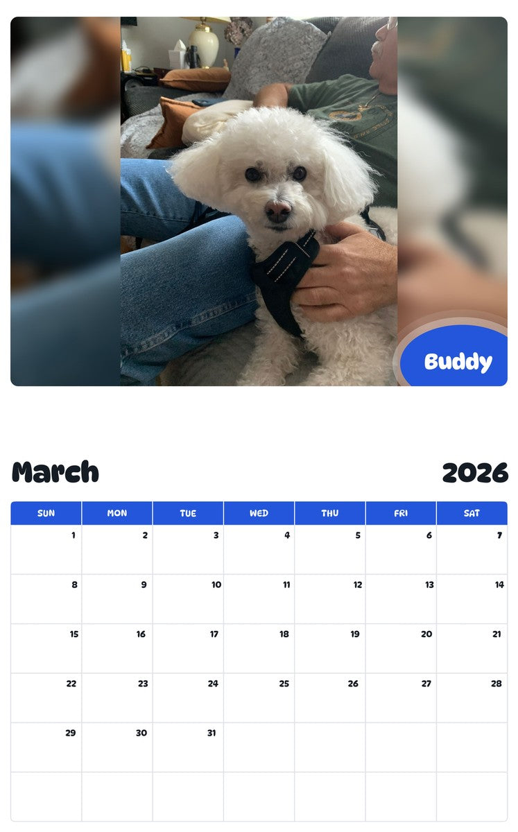 November 2025 - October 2026 Buddy - Pawidols Pet Calendar