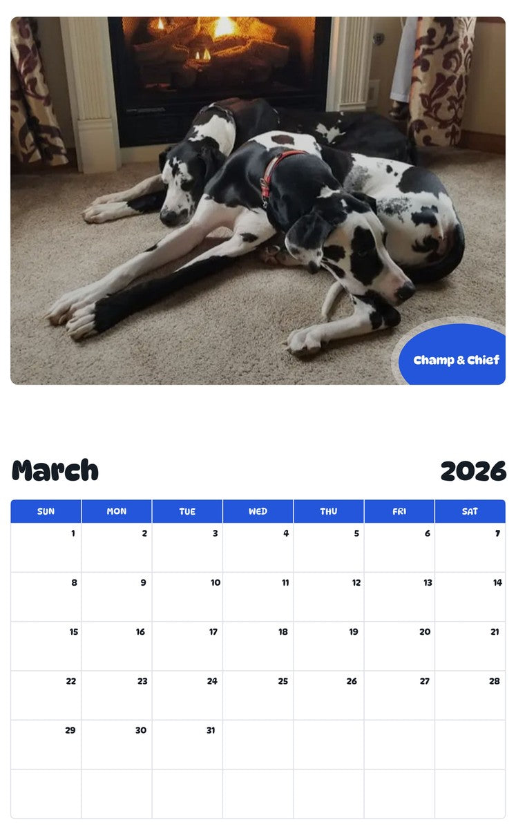 November 2025 - October 2026 Champ & Chief - Pawidols Pet Calendar