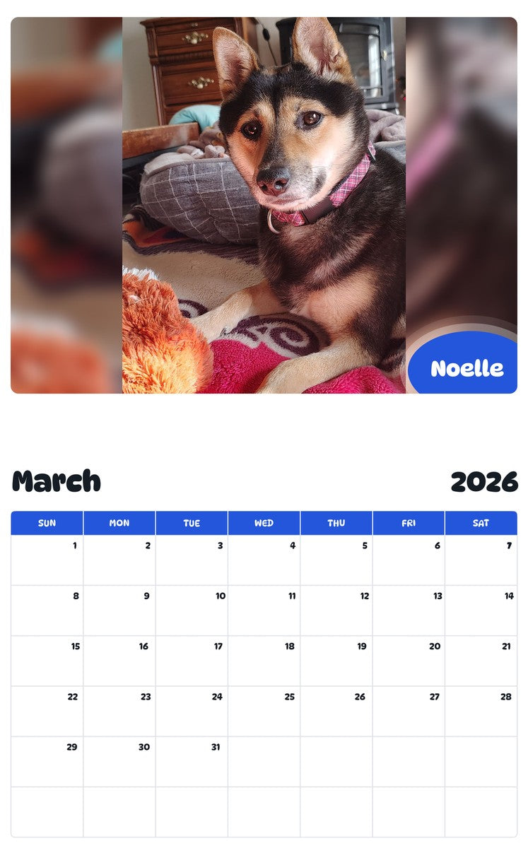 November 2025 - October 2026 Noelle - Pawidols Pet Calendar