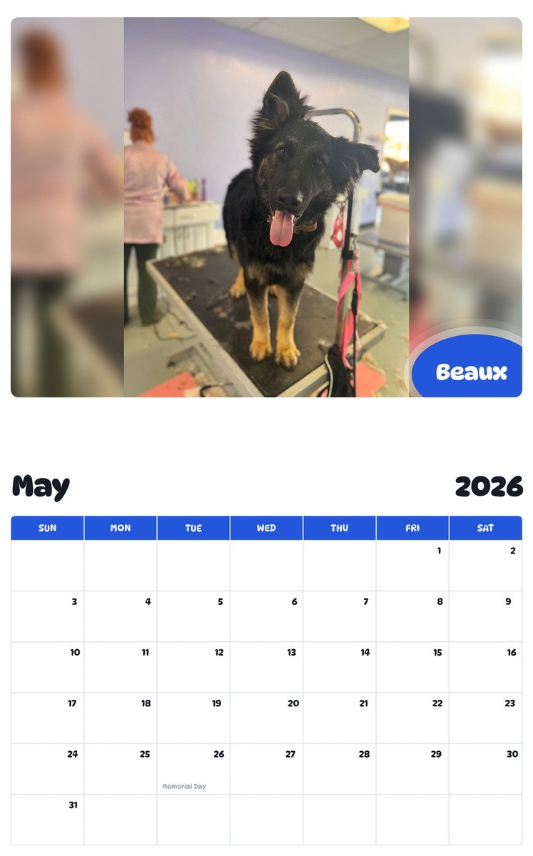 2026 - 2027 Beaux - Pawidols Pet Calendar