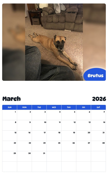 November 2025 - October 2026 Brutus - Pawidols Pet Calendar