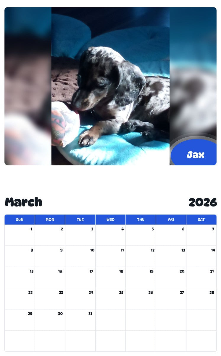 November 2025 - October 2026 Jax - Pawidols Pet Calendar