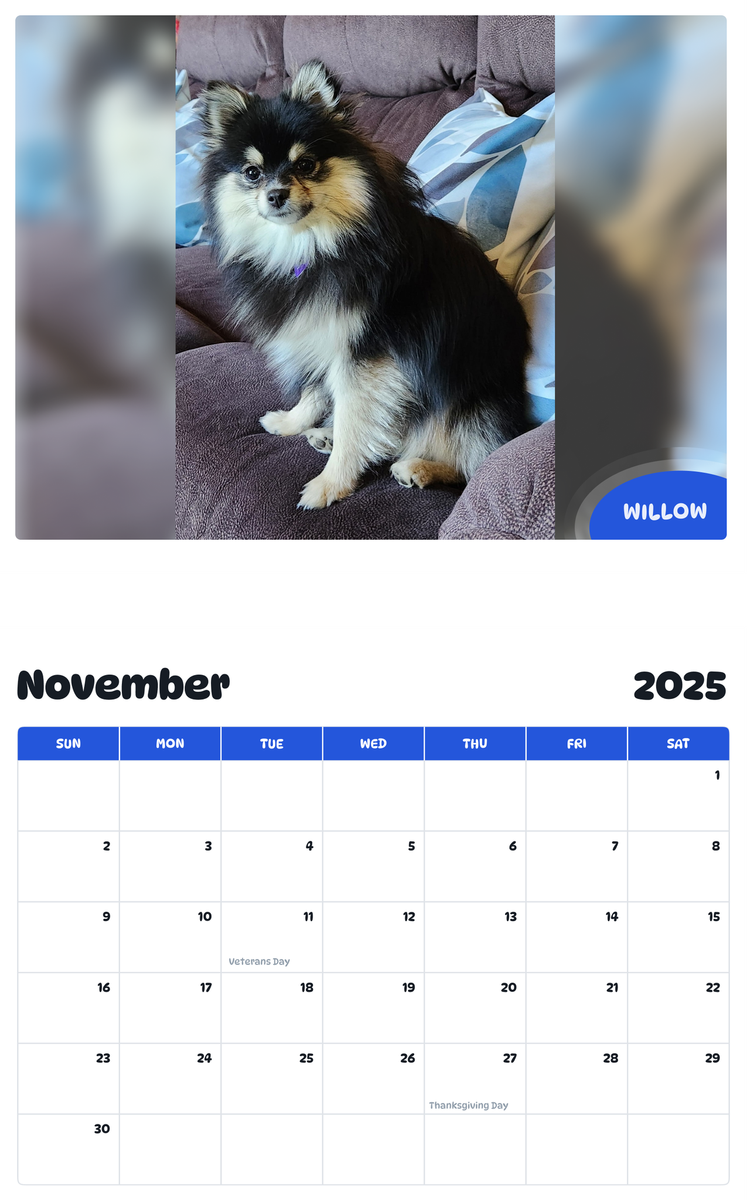 July 2025 - June 2026 Willow - Pawidols Pet Calendar