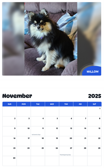 July 2025 - June 2026 Willow - Pawidols Pet Calendar