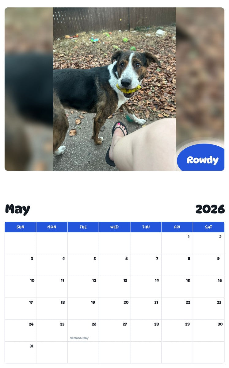 2026 - 2027 Rowdy - Pawidols Pet Calendar
